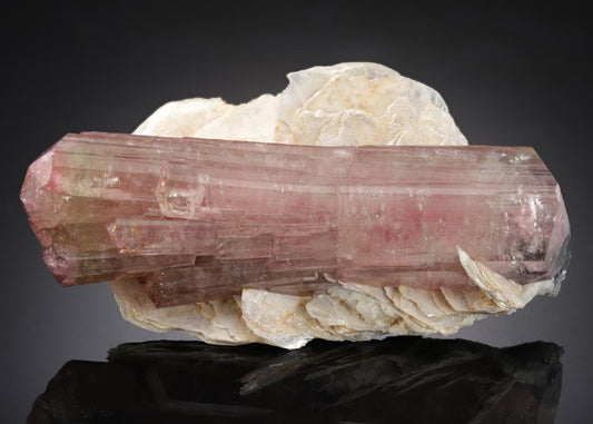 CC9107 specimen image