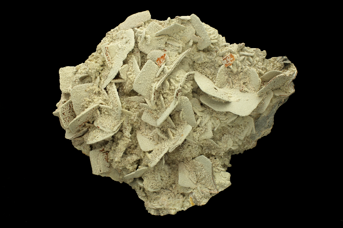CC9144 specimen image