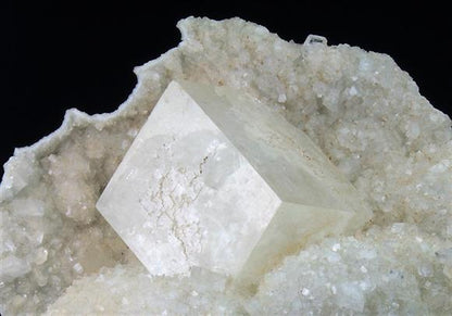 CC9150 specimen image