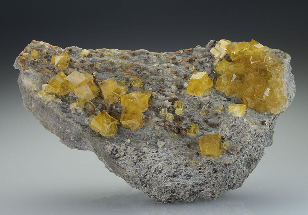 CC9158 specimen image