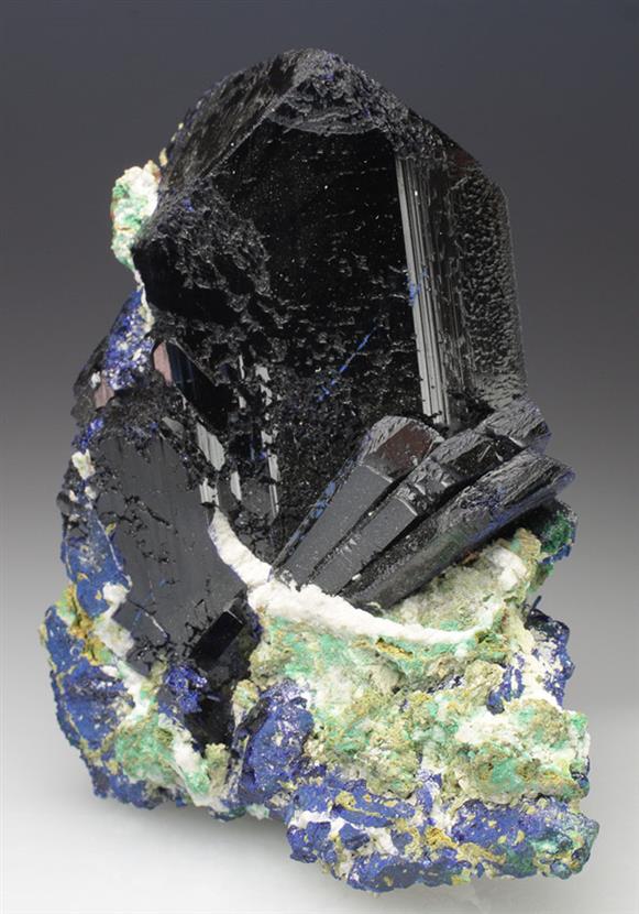 CC9186 specimen image