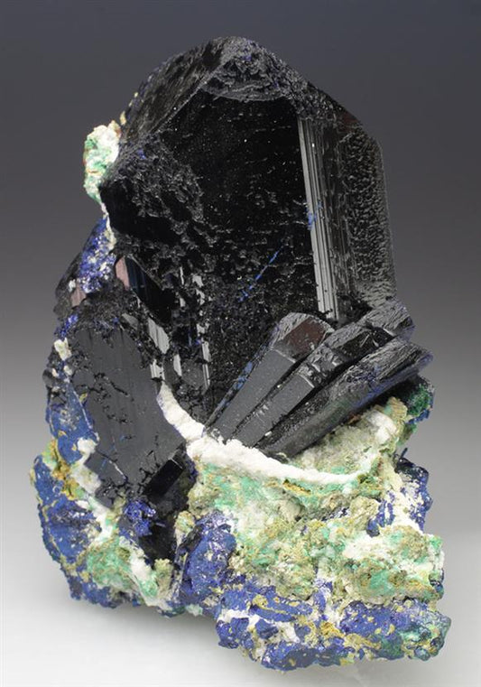 CC9186 specimen image