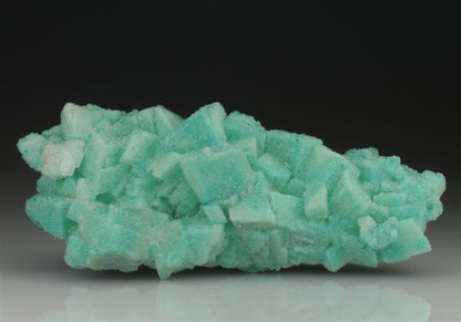 CC9201 specimen image