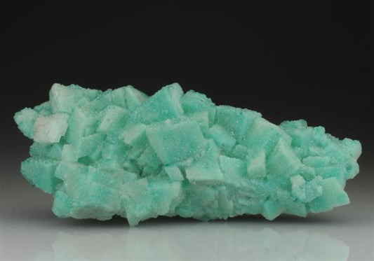 CC9201 specimen image