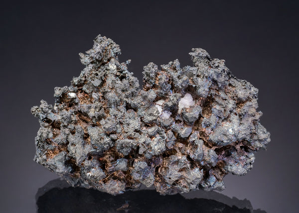 ALLARGENTUM