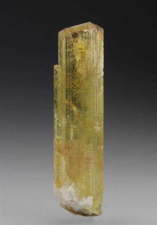 CC9257 specimen image