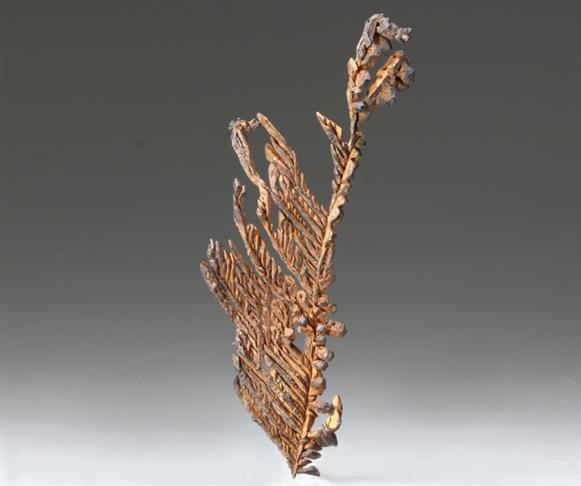 CC929 specimen image