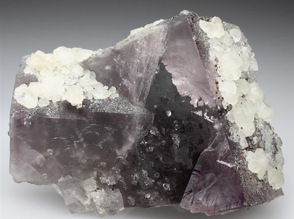 CC962 specimen image