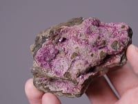 CC7884 video