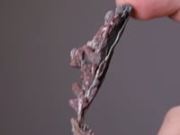 CC20359 video