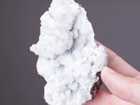 CC4553 video