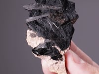 CC14229 video