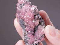 CC8544 video