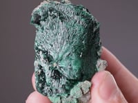 CC15369 video