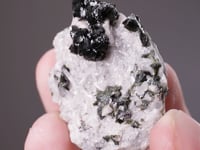 CC15849 video