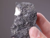 CC5956 video