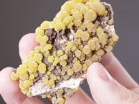 CC8061 video