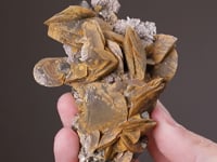 CC16559 video