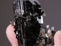 CC21150 video