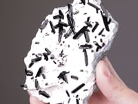 CC18867 video