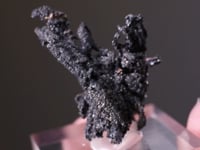 CC2290 video