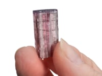 CC37527 video