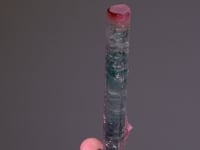 CC6910 video