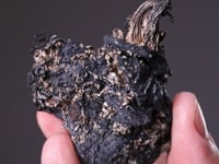 CC9051 video