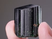 CC8024 video