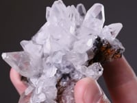 CC13848 video
