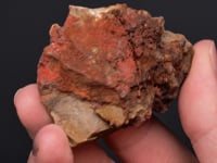 CC43966 video
