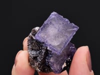 CC43800 video