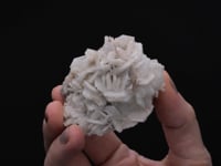CC49604 video