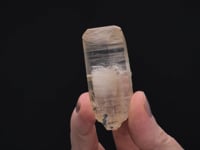 CC49634 video