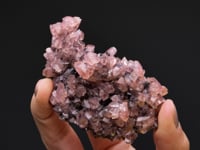 CC46010 video