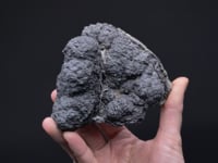 CC48902 video