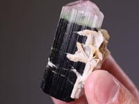 CC29125 video