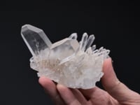 CC56244 video