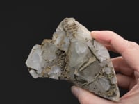 CC53896 video
