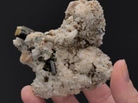 CC29529 video