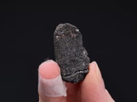 CC55924 video