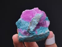 CC64752 video