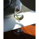 Cashs Ireland Grand Cru White Wine Glasses Gift Set, 3+1 Free